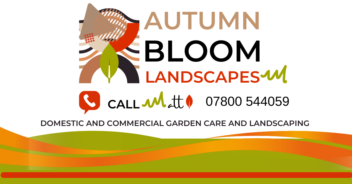 Autumn Bloom Landscapes