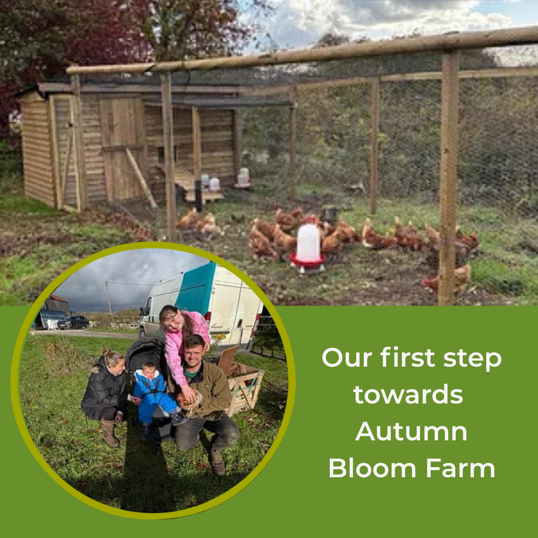 Chicken coop and run at Autumn Bloom Farm with the family pictured in front of the enclosure.