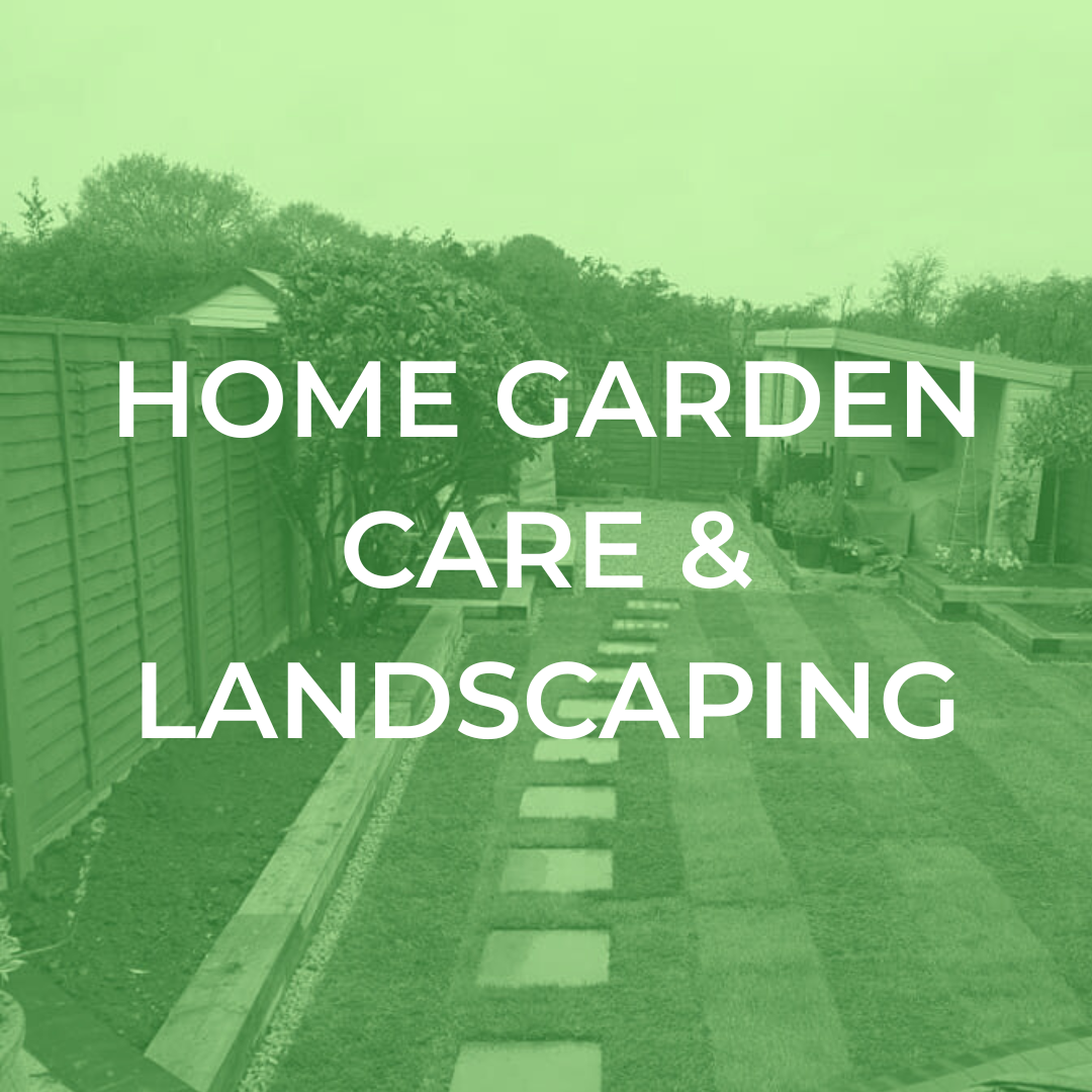 From regular maintenance to one-off tidy-ups, planting, fencing, patios and turfing - we help you shape an outdoor space that works beautifully for everyday life. Friendly, skilled and dependable support from a family and pet-friendly team who respect your home environment … and those who use it. That may include - you, children, pets, grandchildren, friends - and yes, even the gnomes. We have our own gnome mascot called Matteo.
